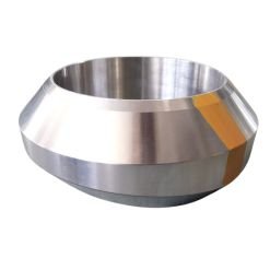Weldolet Manufacturer in India