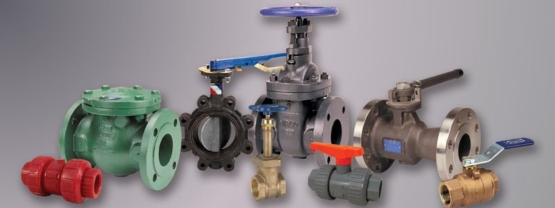 Triclover Valves Manufacturer & Supplier in India