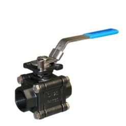 Carbon Steel Valves Manufacturer in India