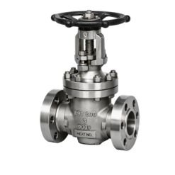 F91 Gate Valves Manufacturer in India
