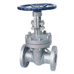 Stainless Steel Valves Manufacturer in India